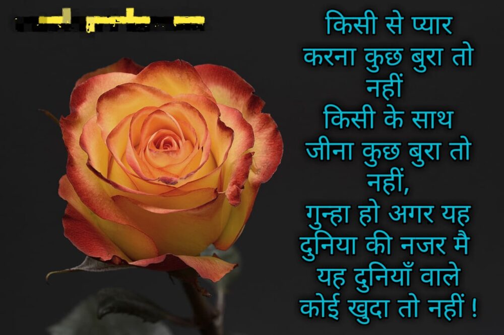 Heart Touching Love Shayari in Hindi For Girlfriend